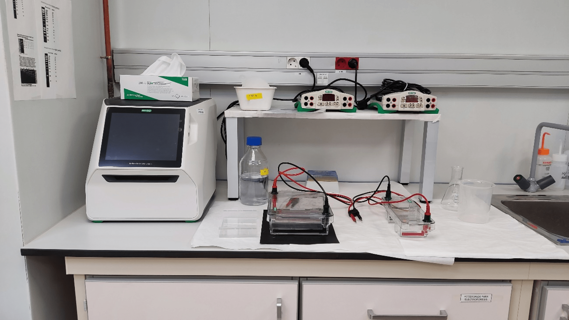 Sistema de documentacion de geles GelDoc Go Imaging System (Bio-Rad)