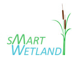 SmartWetland
