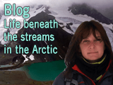 Blog by Sanda Iepure