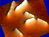 Imagen de microscopía de fuerzas atómicas (AFM) de células de la bacteria electrogénica Geobacter sulfurreducens sobre superficie de grafito HOPG. Celia Rogero y Abraham Esteve 