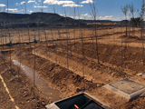 Grupo FILVER Línea de investigación en reutilización de aguas residuales