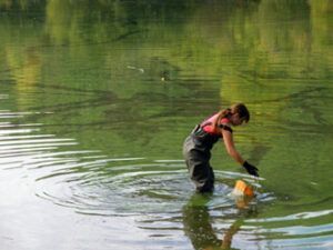 Cianobacterias tóxicas en masas de agua potable