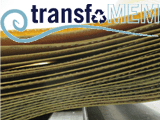 boletin_transfomem_2