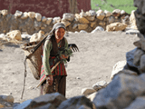 Refugiados del clima: un desplazado forzoso por segundo