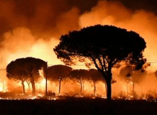 The God, the Bad and the Ugly about flame retardants - the hidden effect of wildfire on aquatic ecosystems