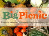 bigpicnic1