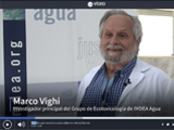 “El azúcar y la sal son más dañinos que los microplásticos”