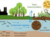 Fármacos en el agua de riego: el papel del suelo en la atenuación natural del riesgo para la salud