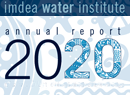 annual_report_2020